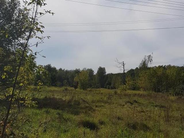 Działka sprzedam, Łomianki, 4000 m2, cena: 6 500 000 zł