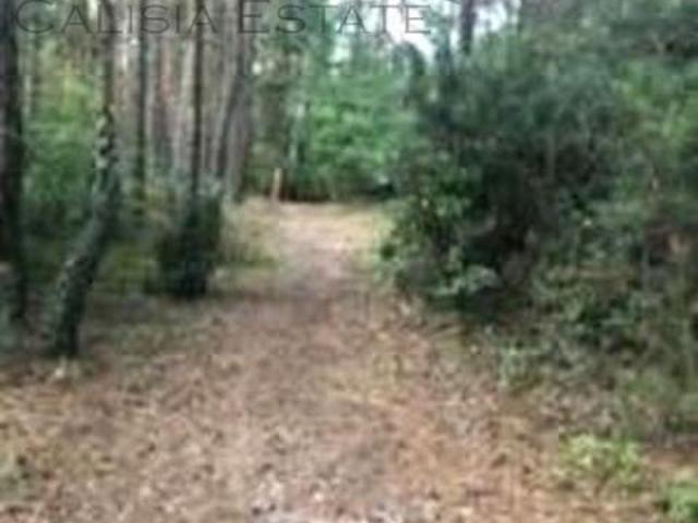 Działka sprzedam, Opatówek, 9081 m2, cena: 150 000 zł