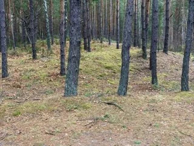 Działka sprzedam, ŁOSIE,, 23100 m2, cena: 500 000 zł