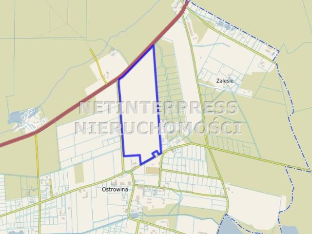 Działka sprzedam, Ostrowina, Ostrowina, 173900 m2, cena: 5 900 000 zł