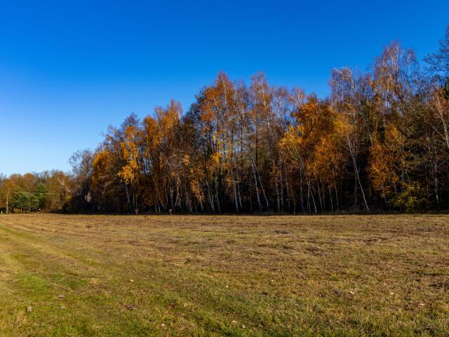 Działka sprzedam, Aleksandrów Łódzki, 5150 m2, cena: 385 000 zł