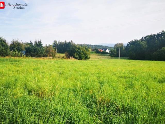 Działka sprzedam, Byszyce, Wieliczka gw, 5900 m2, cena: 740 000 zł