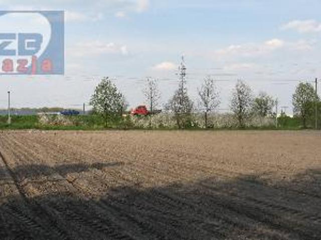 Działka sprzedam, Błonie, 160000 m2, cena: 32 000 000 zł