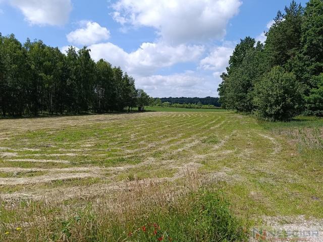 Działka sprzedam, BŁOGOSZCZ, Dębowa, 4800 m2, cena: 249 000 zł