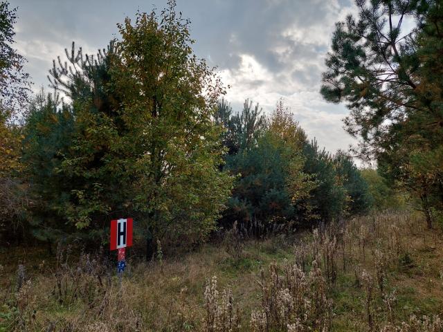 Działka sprzedam, Błotnia, 5003 m2, cena: 199 000 zł