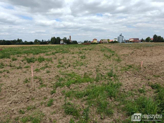 Działka sprzedam, Bielice, 1500 m2, cena: 130 000 zł