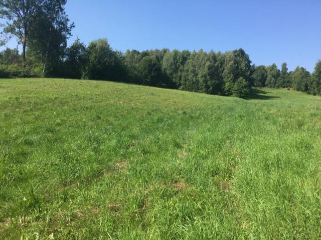 Działka sprzedam, Bieliny, Makoszyn, 2950 m2, cena: 160 000 zł