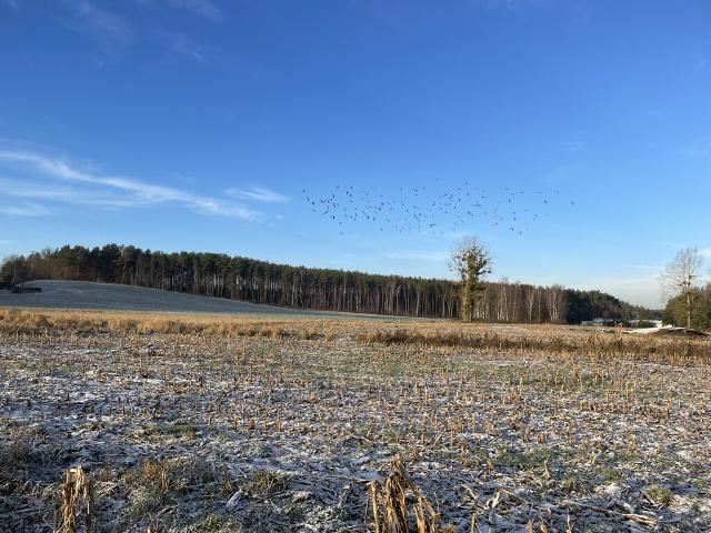 Działka sprzedam, BOJANO,, 1030 m2, cena: 288 400 zł
