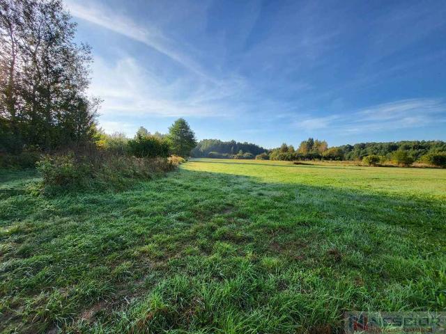 Działka sprzedam, BORKI SIEDLECKIE, Wspólna, 10810 m2, cena: 250 000 zł