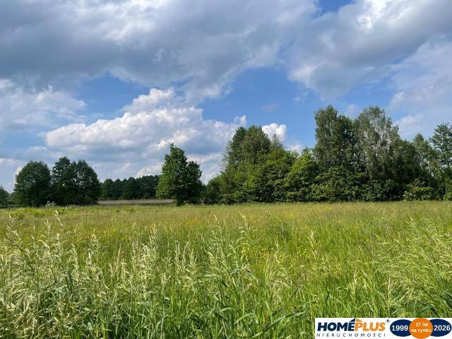 Działka sprzedam, BORKI,, 8809 m2, cena: 1 450 000 zł