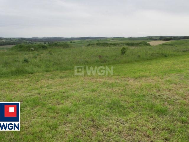 Działka sprzedam, cynków, zwyczajowa, 18600 m2, cena: 1 290 000 zł