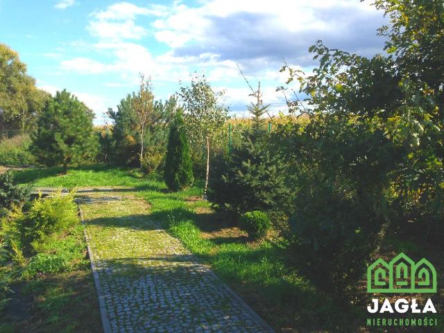 Działka sprzedam, Czarnowo, Zławieś Wielka, 10104 m2, cena: 650 000 zł