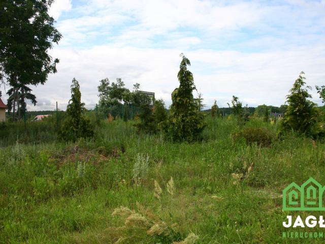 Działka sprzedam, Czarnowo, Zławieś Wielka, 21000 m2, cena: 1 300 000 zł