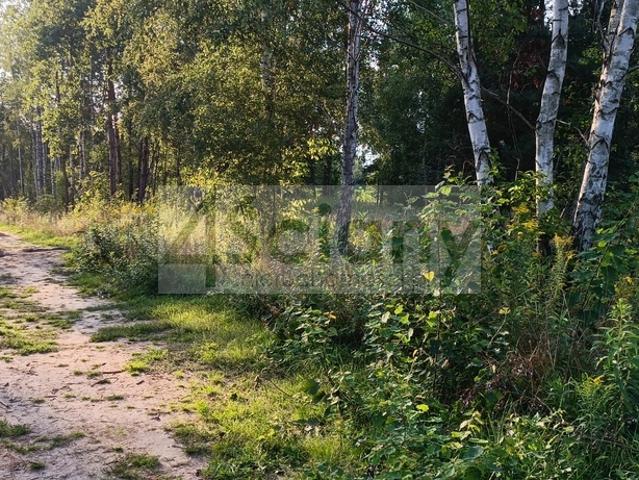 Działka sprzedam, CZARNY LAS,, 1500 m2, cena: 415 000 zł