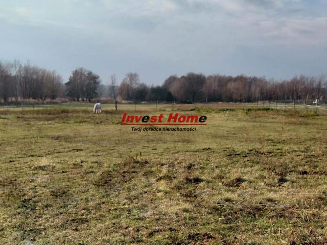 Działka sprzedam, Czerwionka Leszczyny, 1691 m2, cena: 205 000 zł