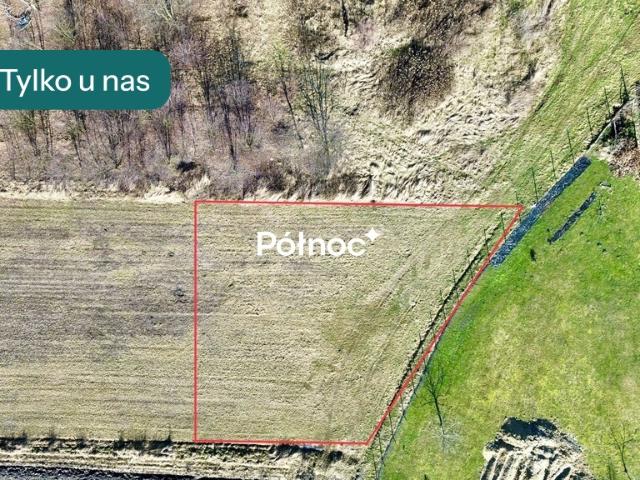 Działka sprzedam, CZERWIONKA LESZCZYNY,, 800 m2, cena: 169 000 zł