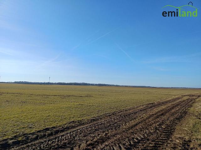 Działka sprzedam, Czernin, 35900 m2, cena: 150 000 zł