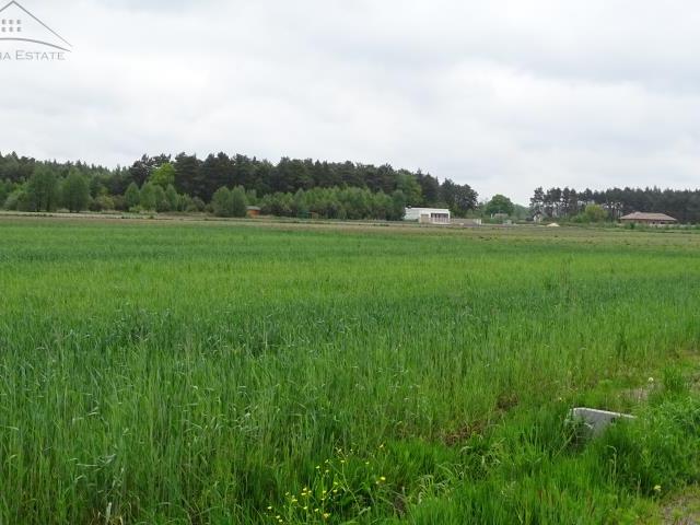 Działka sprzedam, Ceków Kolonia, 2271 m2, cena: 110 000 zł