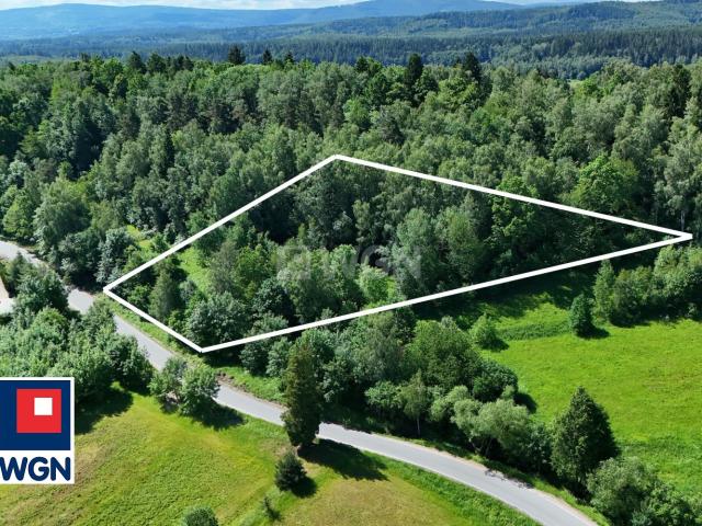 Działka sprzedam, Chocieszów, Chocieszów, 8622 m2, cena: 448 344 zł