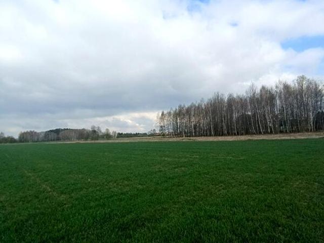 Działka sprzedam, Chorkówka, 1000 m2, cena: 119 000 zł
