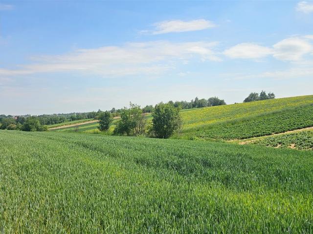 Działka sprzedam, Cianowice Duże, Skała gw, 4200 m2, cena: 499 000 zł