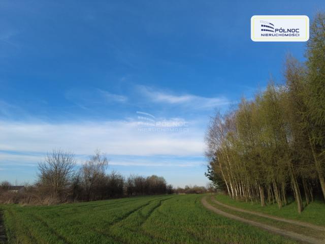 Działka sprzedam, CIKOWICE,, 2100 m2, cena: 84 000 zł