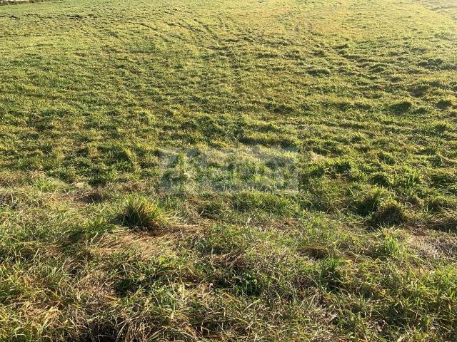 Działka sprzedam, DUCHNÓW,, 1604 m2, cena: 560 000 zł