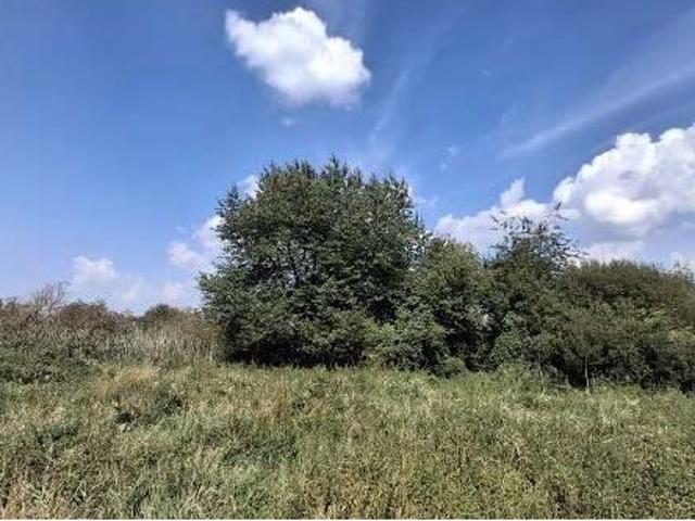Działka sprzedam, DZIEKANÓW LEŚNY,, 7600 m2, cena: 230 000 zł