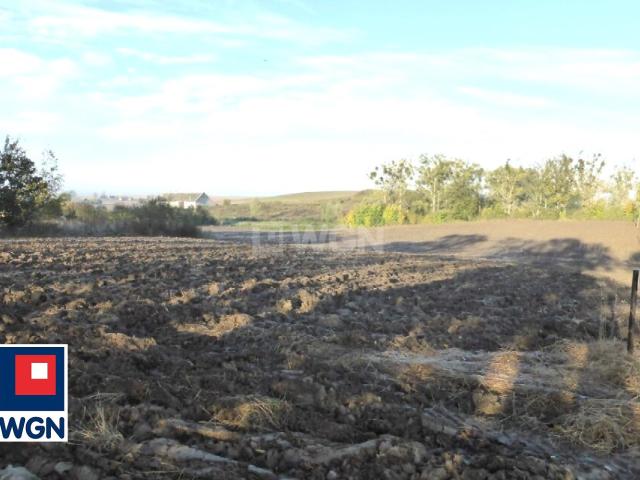 Działka sprzedam, Dzierzgoń, Tywęzy, Tywęzy, 3378 m2, cena: 233 082 zł