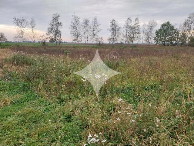 Działka sprzedam, DĄBROWA,, 1830 m2, cena: 129 900 zł