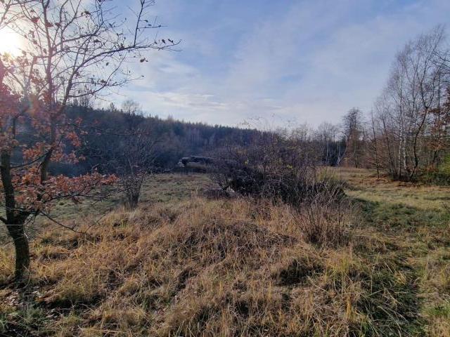 Działka sprzedam, Dąbrowa Górnicza, Sikorka, 1002 m2, cena: 261 000 zł
