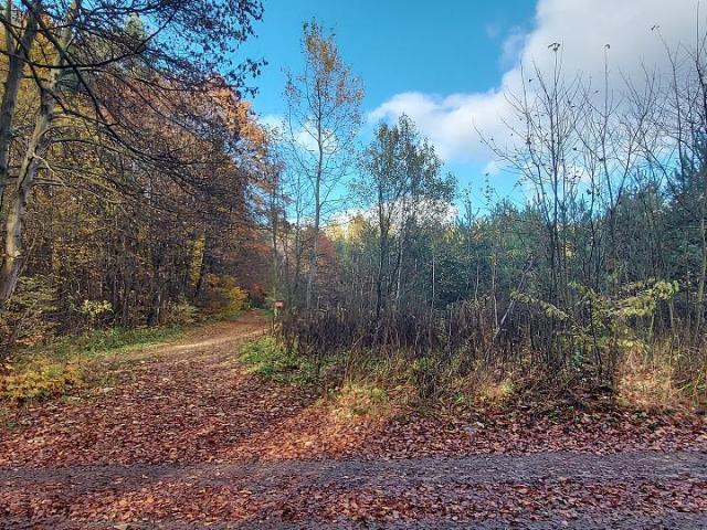 Działka sprzedam, Dąbrowa Górnicza, Trzebiesławice, 33018 m2, cena: 520 000 zł