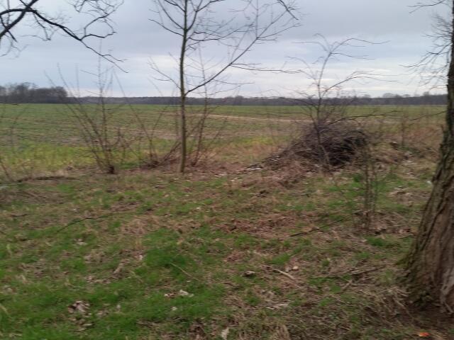 Działka sprzedam, Długołęka, 10000 m2, cena: 2 500 000 zł