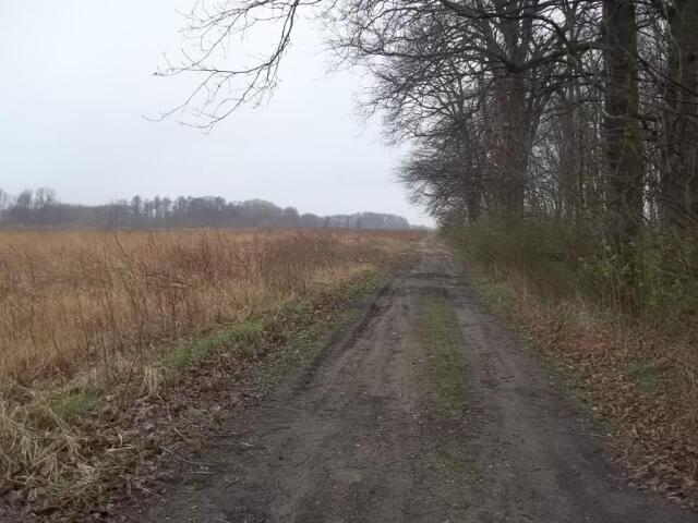 Działka sprzedam, Długołęka, 12000 m2, cena: 1 200 000 zł