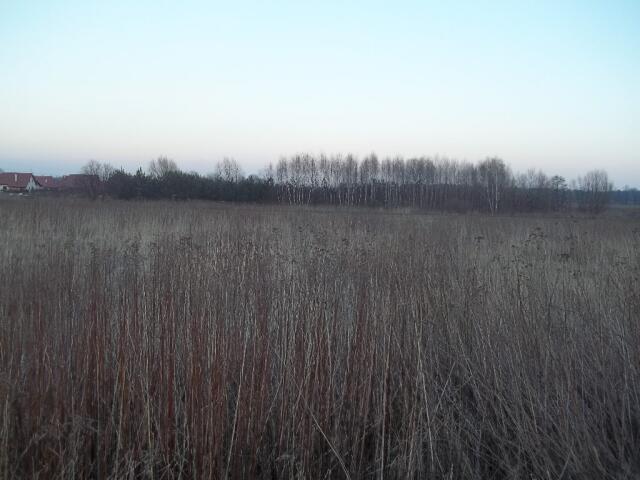 Działka sprzedam, Długołęka, 3410 m2, cena: 610 000 zł
