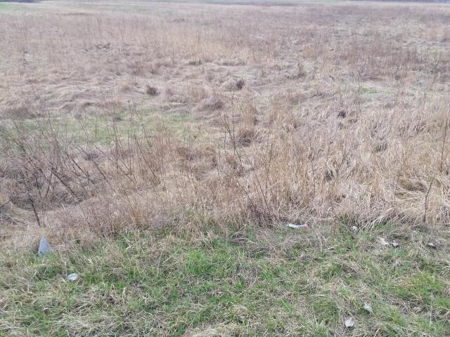 Działka sprzedam, Długołęka, 40000 m2, cena: 15 000 000 zł