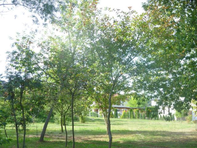 Działka sprzedam, DOBRA,, 6700 m2, cena: 1 699 000 zł
