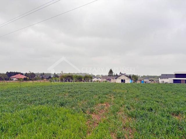 Działka sprzedam, Dominów, 3000 m2, cena: 754 000 zł