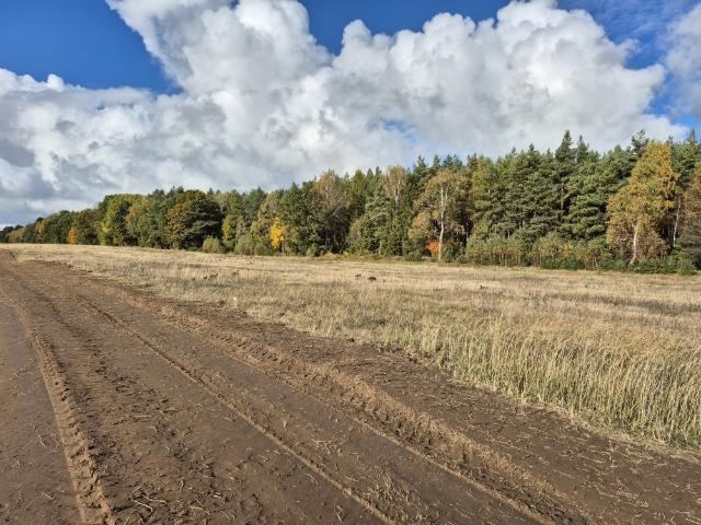Działka sprzedam, Łebień, Przy Lesie, 1339 m2, cena: 69 000 zł