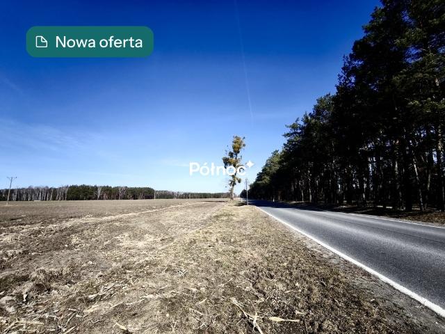 Działka sprzedam, ELŻBIECIN,, 1160 m2, cena: 66 000 zł