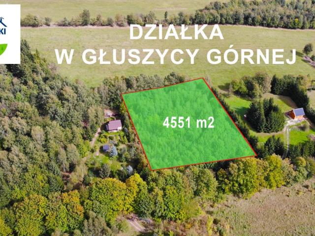 Działka sprzedam, Głuszyca Górna, 4551 m2, cena: 279 000 zł