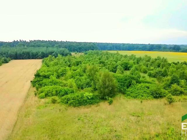 Działka sprzedam, GORZELIN,, 1162 m2, cena: 109 000 zł