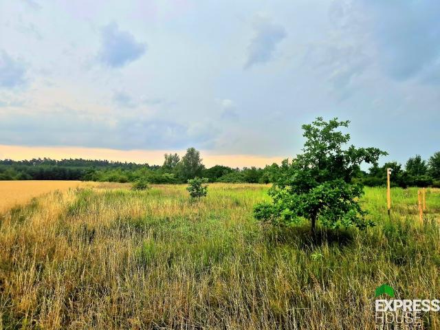 Działka sprzedam, GORZELIN,, 1268 m2, cena: 119 000 zł
