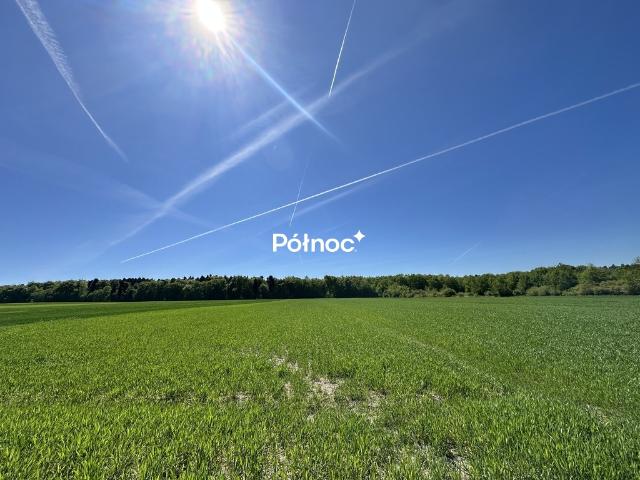 Działka sprzedam, GRĄZÓW,, 5500 m2, cena: 155 000 zł