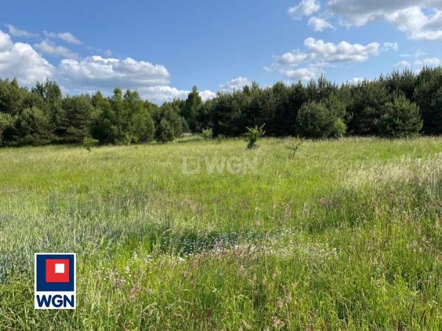 Działka sprzedam, Graniczna Wieś, Graniczna Wieś, Jarzębinowa, 3444 m2, cena: 340 956 zł