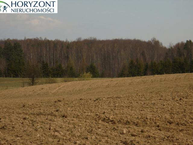Działka sprzedam, GRABOWSKA HUTA,, 12165 m2, cena: 341 000 zł