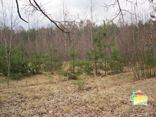 Działka sprzedam, Grodzisk Mazowiecki, 3702 m2, cena: 222 000 zł