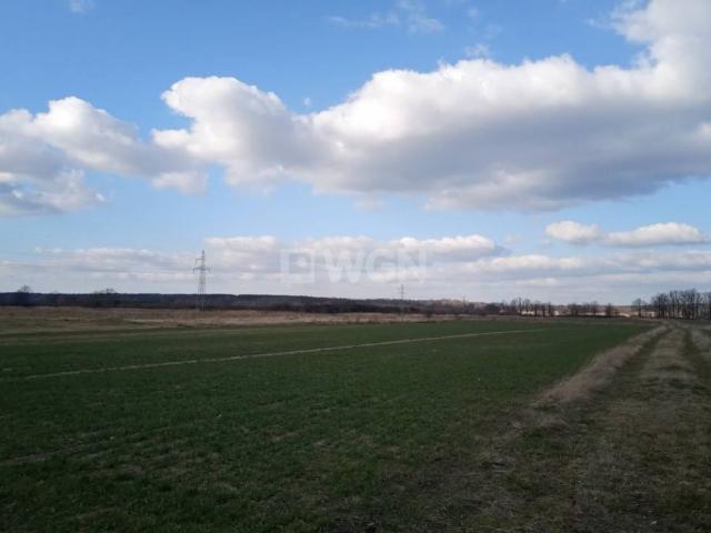 Działka sprzedam, Grzymalin, Grzymalin, 1401 m2, cena: 110 000 zł