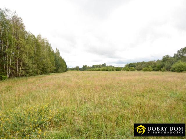 Działka sprzedam, HALICKIE,, 11300 m2, cena: 1 414 500 zł