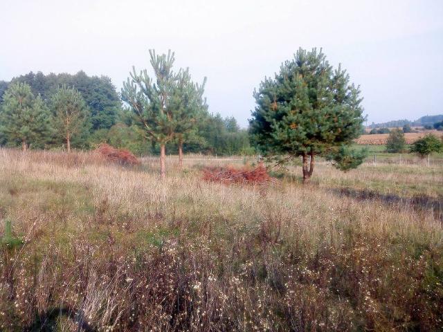 Działka sprzedam, IWANÓWKA,, 1330 m2, cena: 172 900 zł